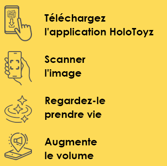 mode-emploi-holotoyz